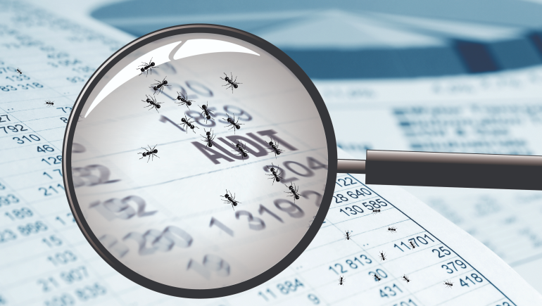 Pest Audit Service